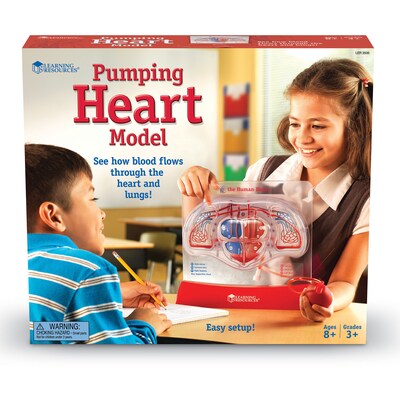 Learning Resources Pumping Heart Model (LER3535)