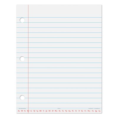 Learning Resources College Ruled Filler Paper, 22" x 28", (LER3236)