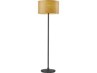 Adesso Oslo 59.5 Matte Black Floor Lamp with Drum Shade (6237-12)