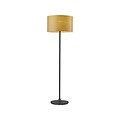Adesso Oslo 59.5 Matte Black Floor Lamp with Drum Shade (6237-12)