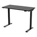 FlexiSpot 48W Adjustable Standing Desk, Black (EC9B)