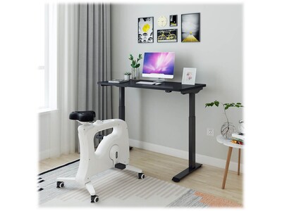 FlexiSpot 48"W Electric Rectangular Adjustable Standing Desk, Black (EC9B)