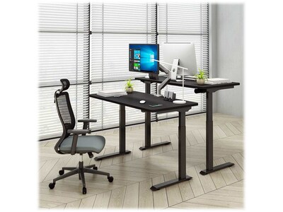 FlexiSpot 48"W Electric Rectangular Adjustable Standing Desk, Black (EC9B)