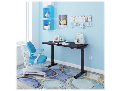 FlexiSpot 48"W Electric Rectangular Adjustable Standing Desk, Black (EC9B)