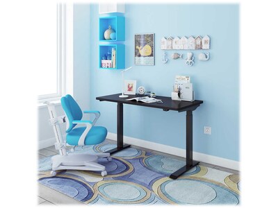 FlexiSpot 48"W Electric Adjustable Standing Desk, Black (EC9B)