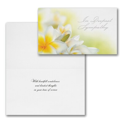 Assorted Economy All-Occasion Cards, With Envelopes, 8" x 4-11/16", 50 Cards per Set