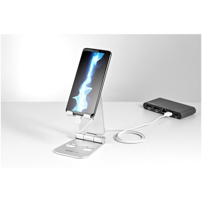 StarTech Universal Stand for Up To 13" Screens, Silver (USPTLSTND)