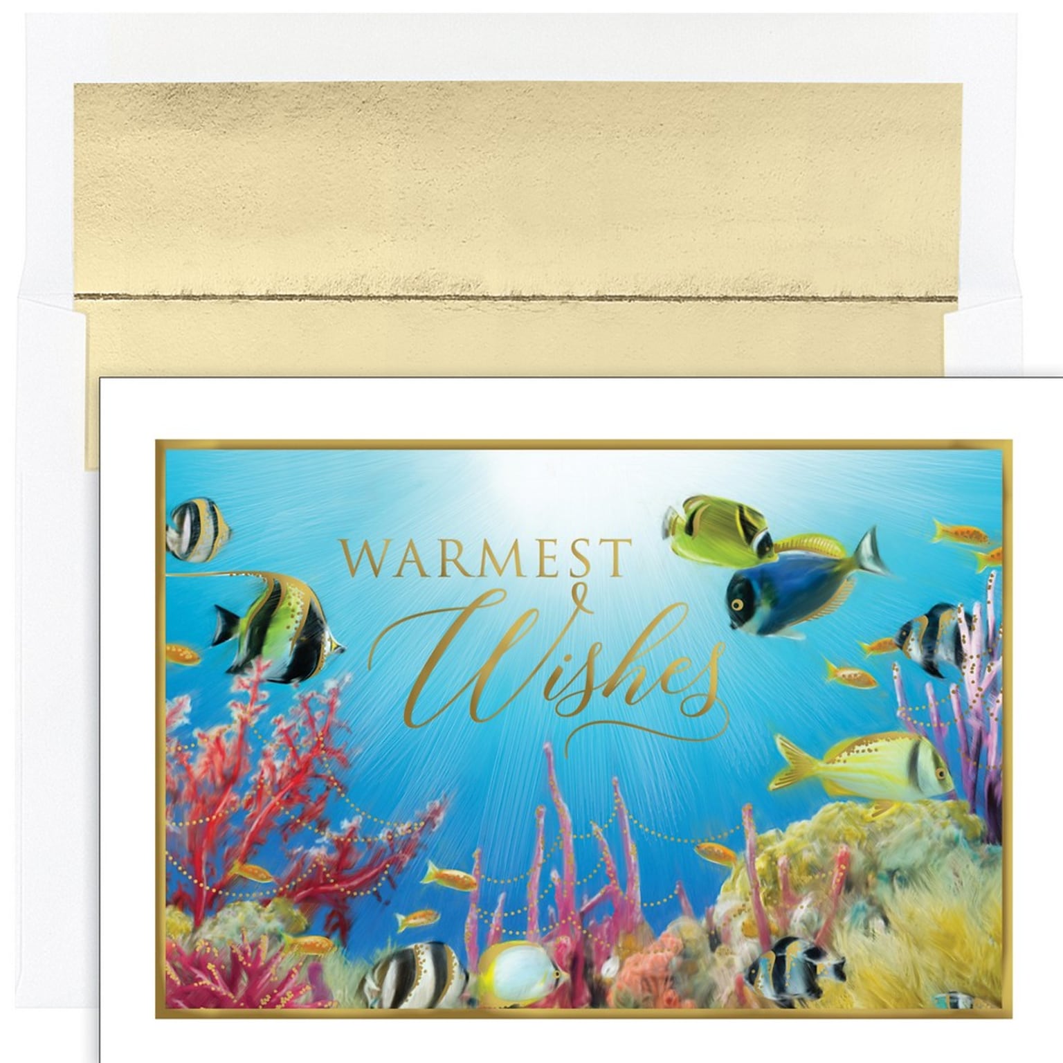 JAM PAPER Christmas Cards & Matching Envelopes Set, 7 6/7 x 5 5/8, Warmest Wishes Fishes, 18/Pack (526937800)