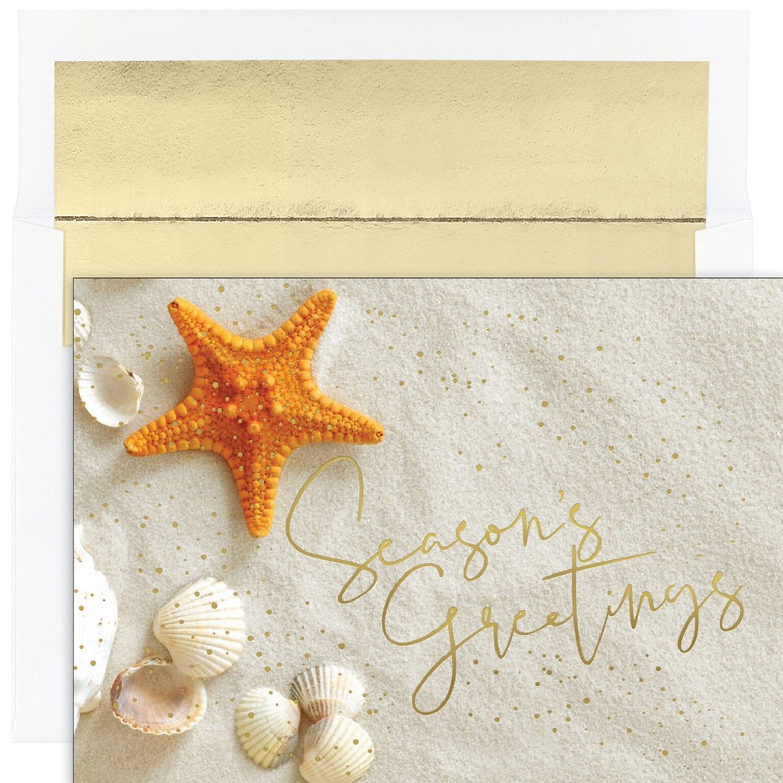 JAM PAPER Christmas Cards & Matching Envelopes Set, 7 6/7 x 5 5/8, Starfish Greetings, 18/Pack (526937600)