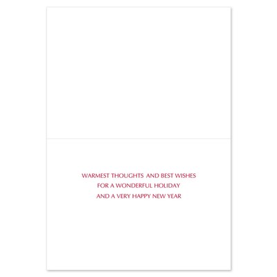 JAM PAPER Christmas Cards & Matching Envelopes Set, 7 6/7" x 5 5/8", Starfish Greetings, 18/Pack (526937600)