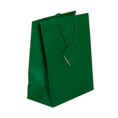 JAM Paper Matte Gift Bag with Rope Handles, Large, Green, 3/Pack (673MAGRA)
