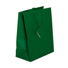 JAM PAPER Gift Bags with Rope Handles, Large, 10 x 13 x 5, Green Matte, 3/Pack (673MAGRA)