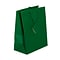 JAM PAPER Gift Bags with Rope Handles, Large, 10 x 13 x 5, Green Matte, 3/Pack (673MAGRA)