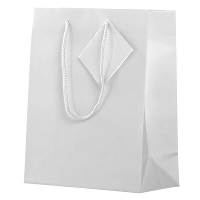 JAM Paper Glossy Gift Bag with Rope Handles, 8" x 4" x 10", White, 3 Bags/Pack (672GLWHB)