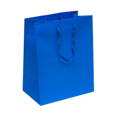 JAM Paper Matte Gift Bag with Rope Handles, Large, Blue, 3 Bags/Pack (673MABUA)