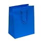 JAM PAPER Gift Bags with Rope Handles, Large, 10 x 13 x 5, Blue Matte, 3/Pack (673MABUA)