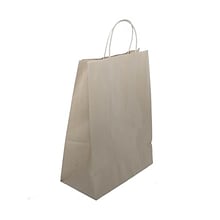 JAM Paper Solid Kraft Gift Bag, X-Large, Brown, 100 Bags/Pack (674KRBRB)