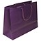 JAM PAPER Matte Horizontal Bags, Large, 13 x 10 x 5, Purple, Sold individually (773MAPUB)