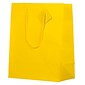JAM PAPER Gift Bags with Rope Handles, Large, 10 x 13 x 5, Yellow Matte, Bulk 100 Bags/Pack (673MAYE100)