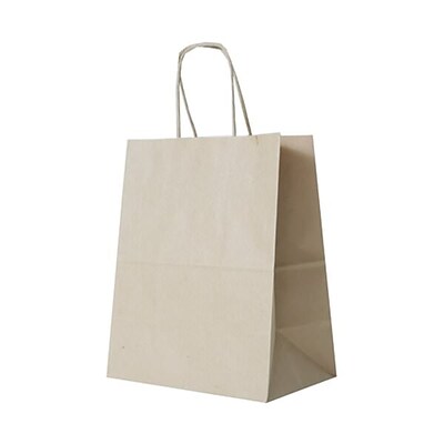 JAM PAPER Solid Gift Bags, Medium, 8 1/4 x 10 x 5, Brown Kraft, Bulk 100 Bags/Pack (672KRBRB)