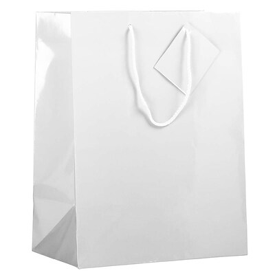 JAM PAPER Glossy Gift Bags with Rope Handles, Large, 10 x 5 x 13, White, Bulk 100 Bags/Pack (673GLWH100)