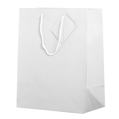 JAM Paper Glossy Gift Bag with Rope Handles, Large, White, 3 Bags/Pack (673GLWHB)