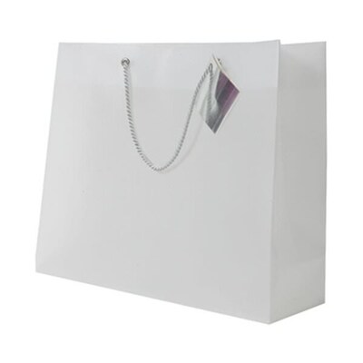 JAM PAPER Translucent Shopping Bags, 10 1/2 x 13 x 4, Clear, Bulk 500 Bags/Box (0462001C)