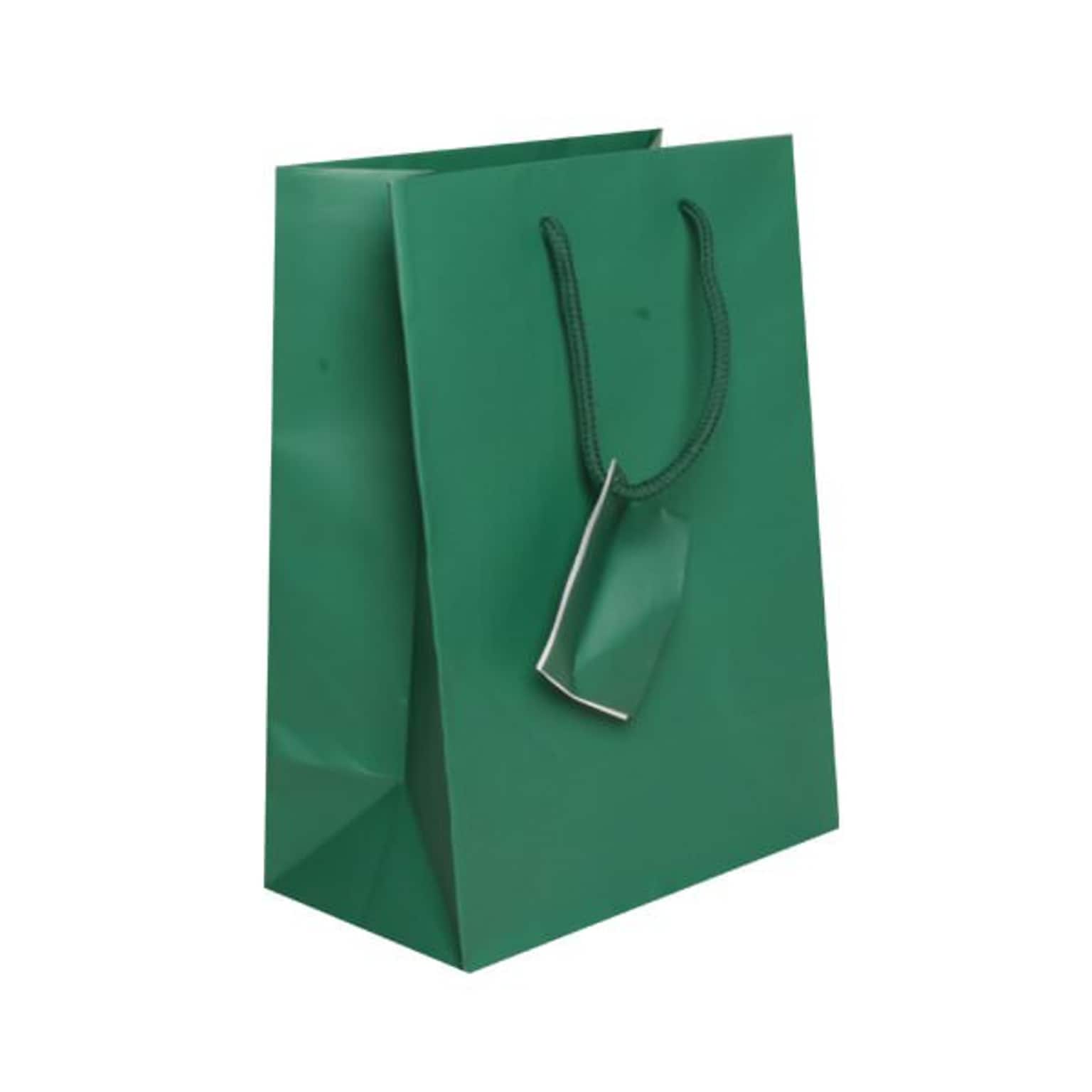 JAM PAPER Gift Bags with Rope Handles, Medium, 8 x 10 x 4, Green Matte, Bulk 100 Bags/Pack (672MAGR100)