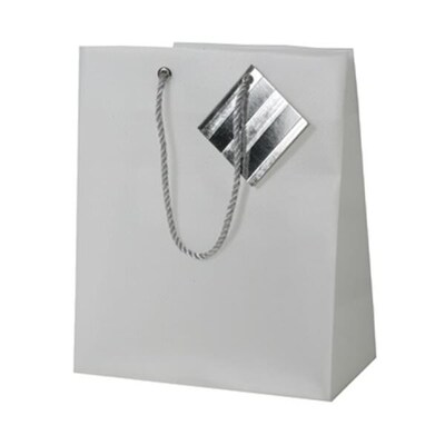 JAM PAPER Opaque Shopping Bags, Small, 7 1/2 x 9 x 4, Clear, Bulk 100 Bags/Pack (461998B)