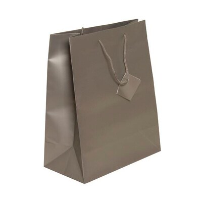 JAM PAPER Gift Bags with Rope Handles, Large, 10 x 13 x 5, Silver Matte, Bulk 100 Bags/Pack (673MASI100)