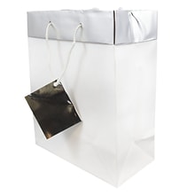 JAM Paper Matte Gift Bag with Rope Handles, Medium, White & Silver, 24 Bags/Box (4431768B)
