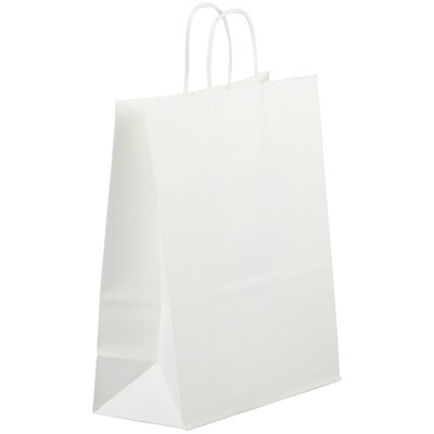 JAM Paper Solid Kraft Gift Bag, Large, White, 100 Bags/Pack (673KRWHB)