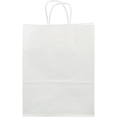 JAM Paper Solid Kraft Gift Bag, Large, White, 100 Bags/Pack (673KRWHB)