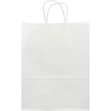 JAM PAPER Large Kraft Giftbags, 10 x 13 1/4 x 5, Solid Kraft Gift Bags, White, Bulk 100 Bags/Pack (6