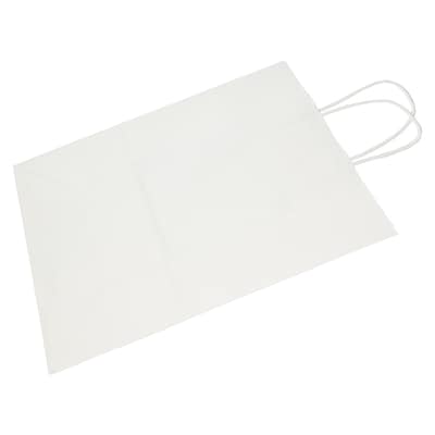 JAM Paper Solid Kraft Gift Bag, Large, White, 100 Bags/Pack (673KRWHB)