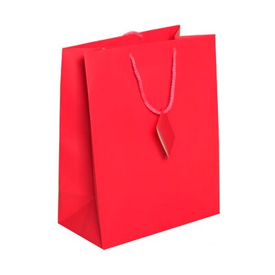 JAM Paper Gift Bags with Rope Handles, 10 x 13 x 5, Hot Pink Matte, 3/Pack (673MAHOPIA)