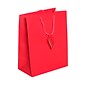 JAM PAPER Gift Bags with Rope Handles, Large, 10 x 13 x 5, Hot Pink Matte, 3/Pack (673MAHOPIA)