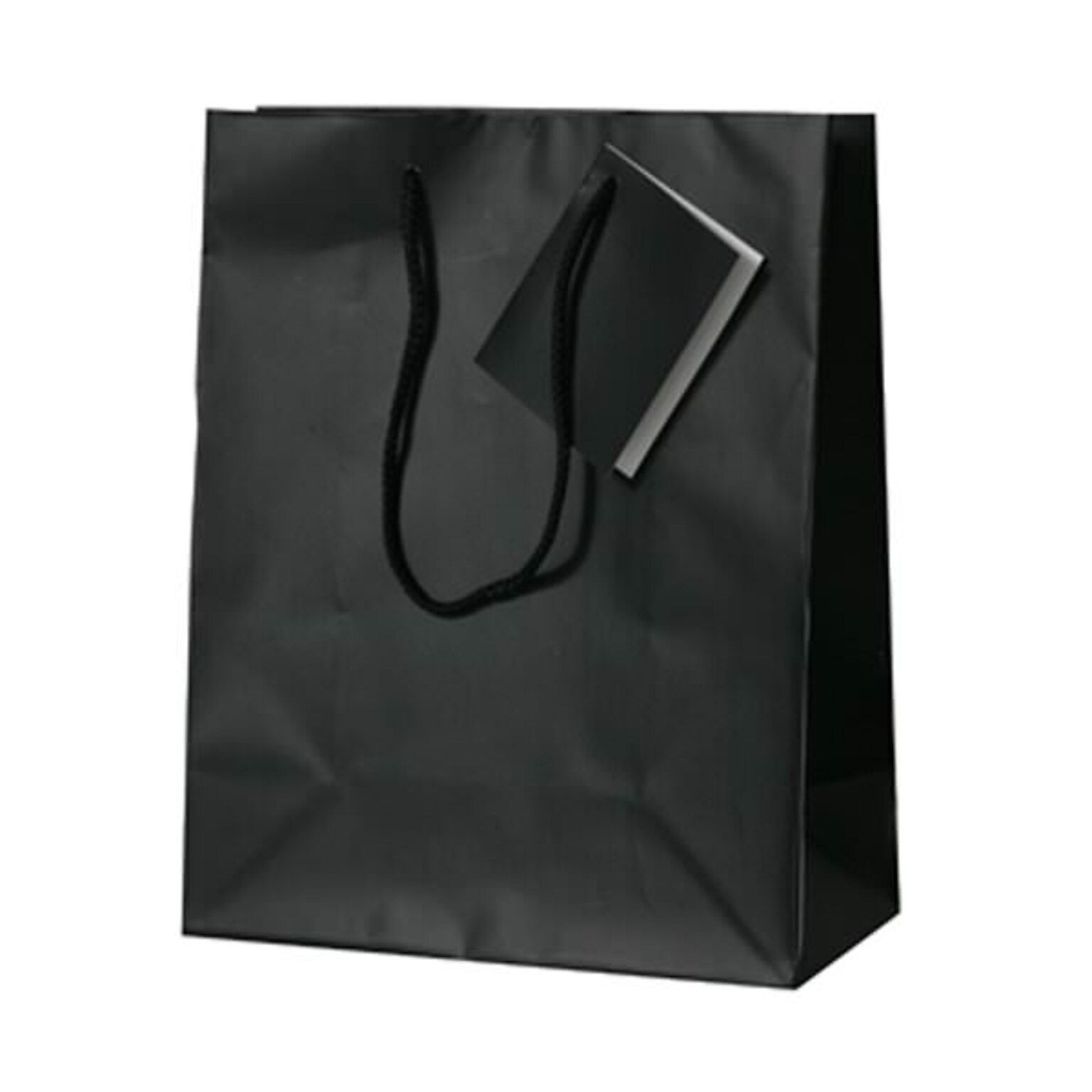 JAM Paper Matte Gift Bag with Rope Handles, 8 x 10 x 4, Black, 100 Bags/Pack (672MABL100)