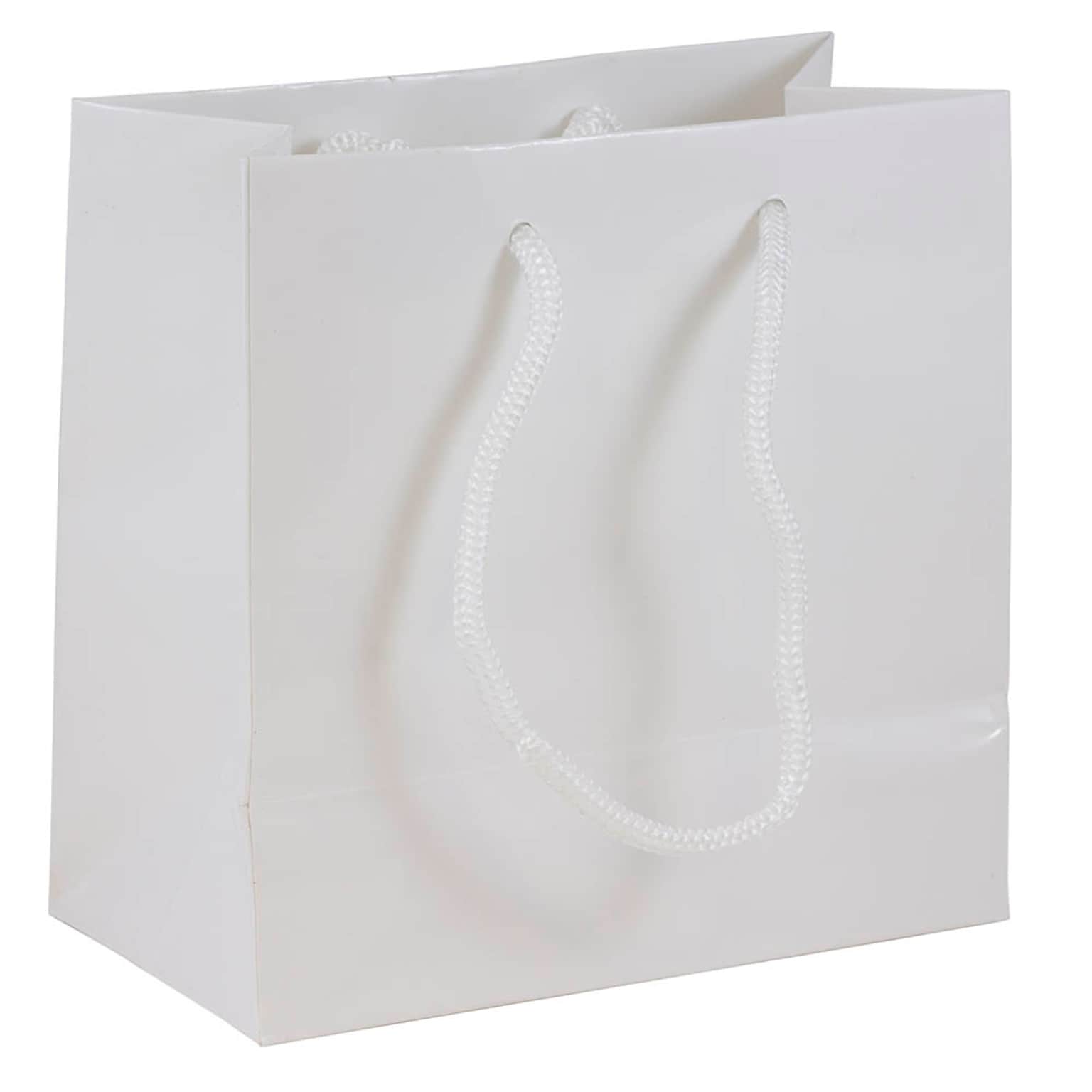 JAM Paper Glossy Gift Bag with Rope Handles, Small, White, 3 Bags/Pack (896GLWHA)