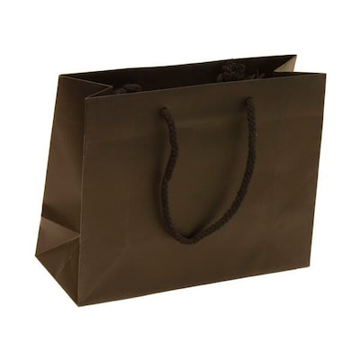 JAM Paper Solid Large Gift Bags, Black, 100/Pack(775GLbl100)
