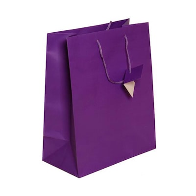 JAM Paper Gift Bags with Rope Handles, 10 x 13 x 5, Purple Matte, 3/Pack (673MAPUA)