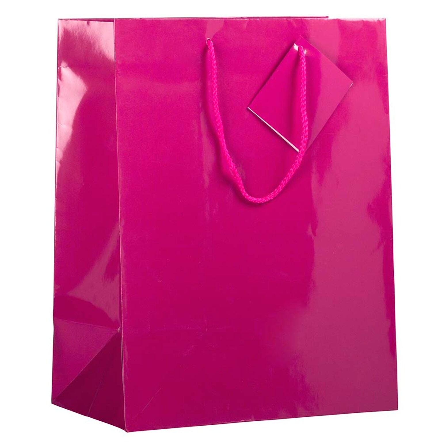 JAM Paper Glossy Gift Bag with Rope Handles, Large, Hot Pink, 3 Bags/Pack (673GLFUB)