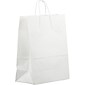 JAM PAPER Solid Gift Bags, XL, 12 5/8 x 15 1/2 x 6, White Kraft, Bulk 100 Bags/Pack (674KRWHB)