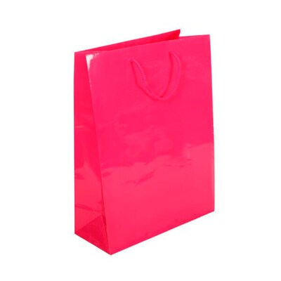 JAM PAPER Gift Bags with Rope Handles, X-Large, 12 1/2 x 17 x 6, Fuchsia Glossy, Bulk 100 Bags/Pack (24119125B)