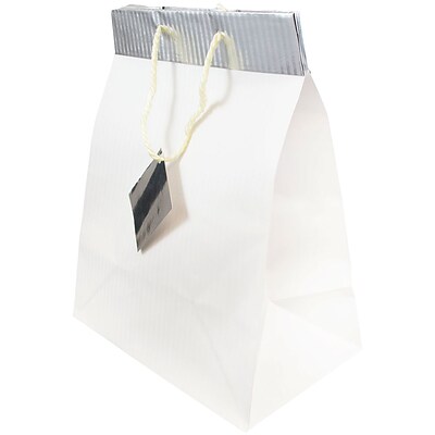 JAM PAPER Gift Bags with Rope Handles, Large, 10 x 13 x 6, White Pinstripe with Silver Top, 24/box (4431740B)