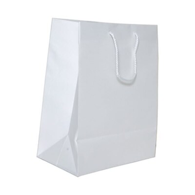 JAM PAPER Gift Bags with Rope Handles, Large, 10 x 13 x 5, White Groove Matte, Bulk 100 Bags/Pack (673MAWGA)