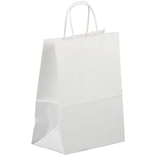 JAM PAPER Solid Gift Bags, Medium, 8 1/4 x 10 x 5, White Kraft, Bulk 100 Bags/Pack (672KRWHB)