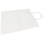 JAM Paper Kraft Solid Gift Bag, Medium, White, 100 Bags/Pack (672KRWHB)
