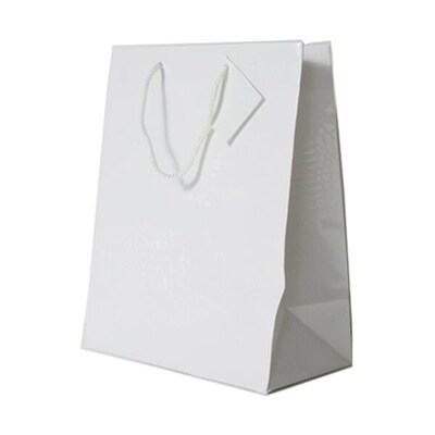 JAM Paper Gift Bags with Rope Handles, 12.5 x 17 x 6, White Glossy, 100 Bags/Pack (674GLWH100)