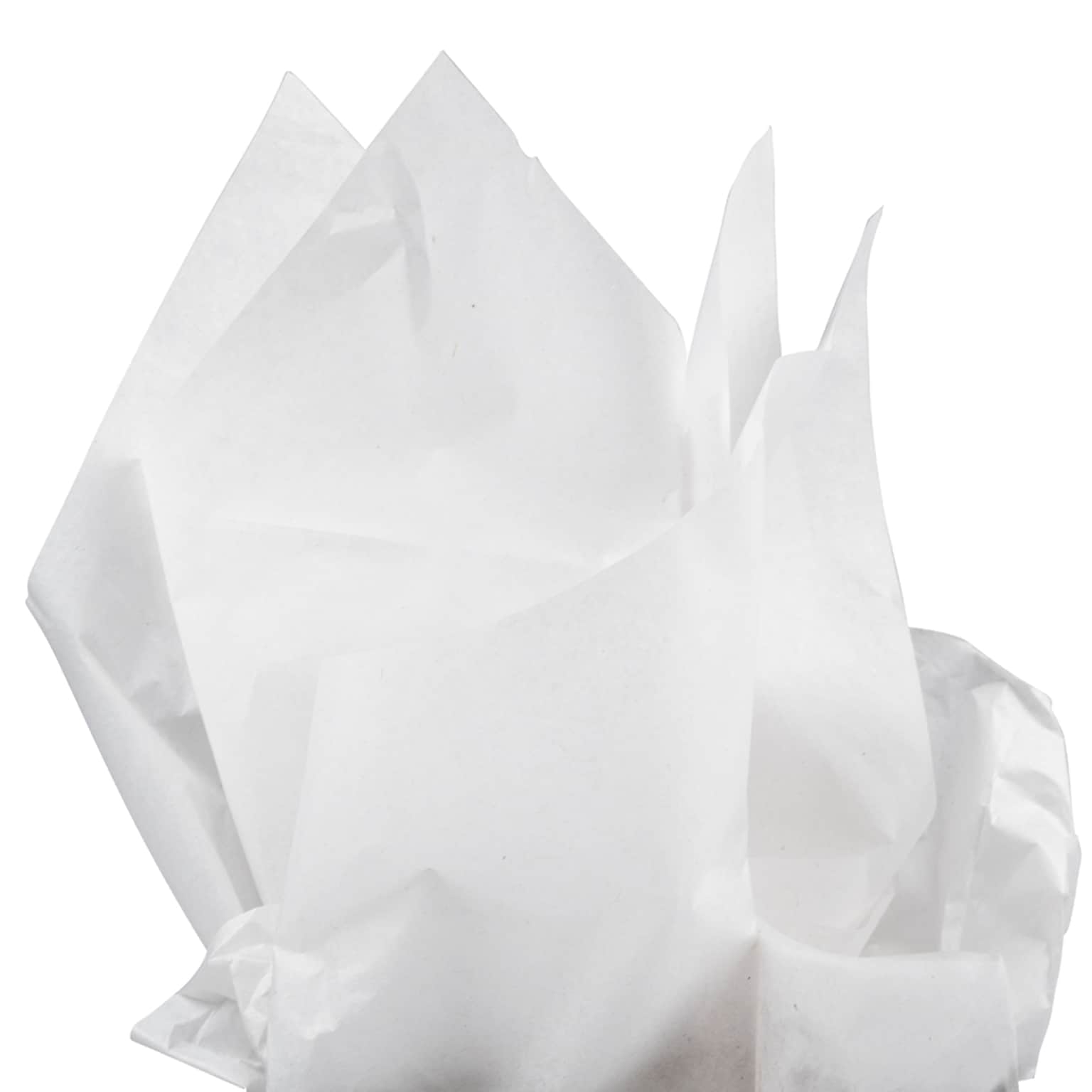 JAM Paper 20 x 26 Tissue Paper, White, 20 Sheets/Pack (11537395A)